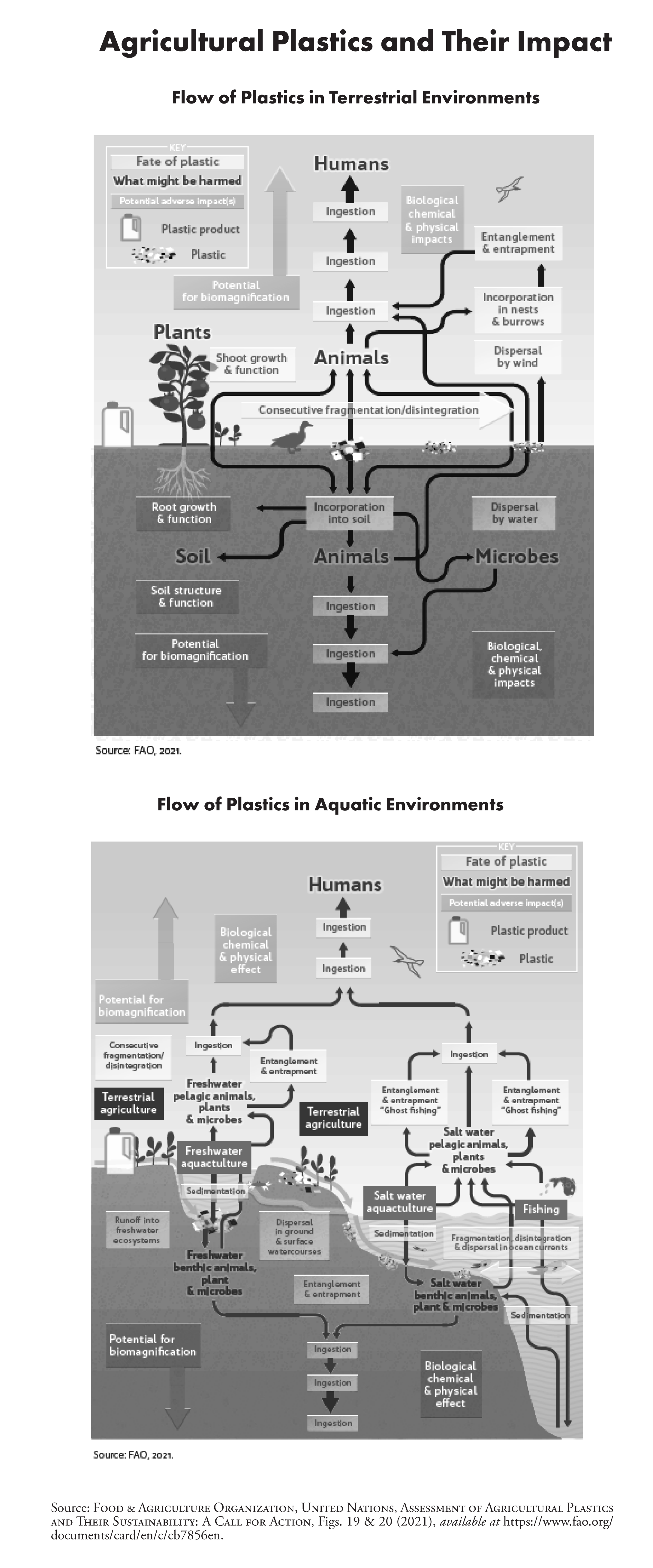Agricultural Plastics and Their Impact